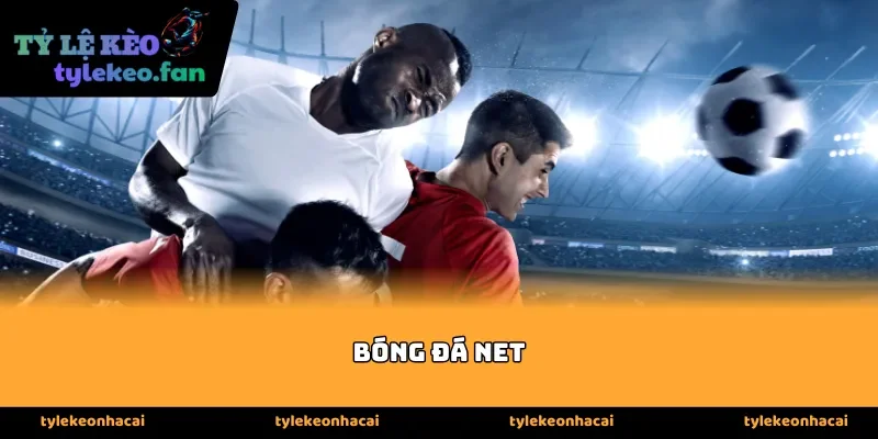 Bản chất của bóng đá net