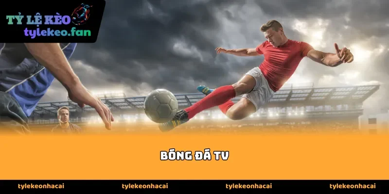Tổng quan về bóng đá tv