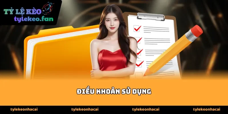 Trách nhiệm của người dùng trong điều khoản sử dụng