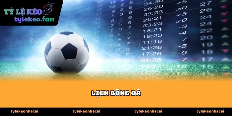 Tổng quan về hệ thống tra cứu lịch bóng đá trực tuyến