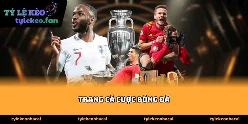 Tiêu chí đánh giá một trang cá cược bóng đá an toàn